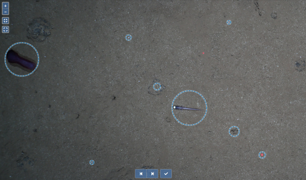Machine learning assisted image annotation